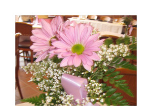 Baby Girl Shower