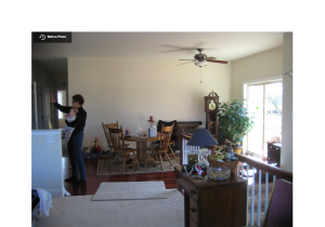 Dining Room & Living Room Design