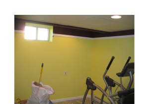 Basement Remodel