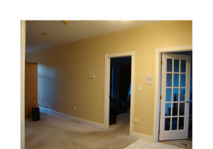 Kitchen & Living Room Update